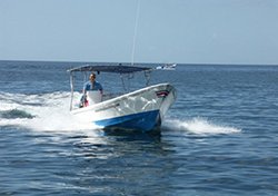 Dive boat Lady Blue