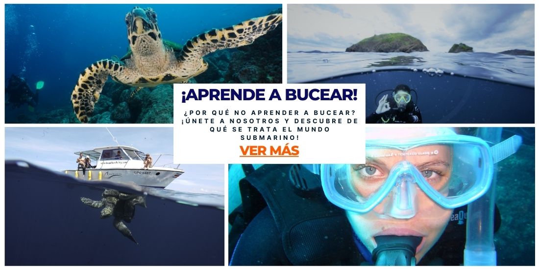 aprende a bucear deep blue diving