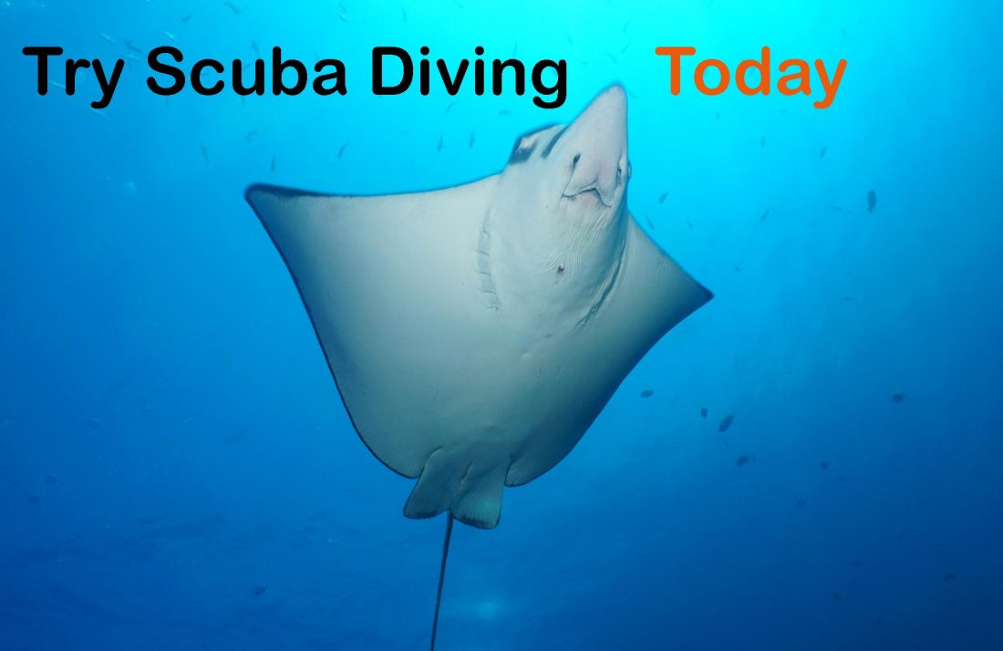 try-scuba-diving