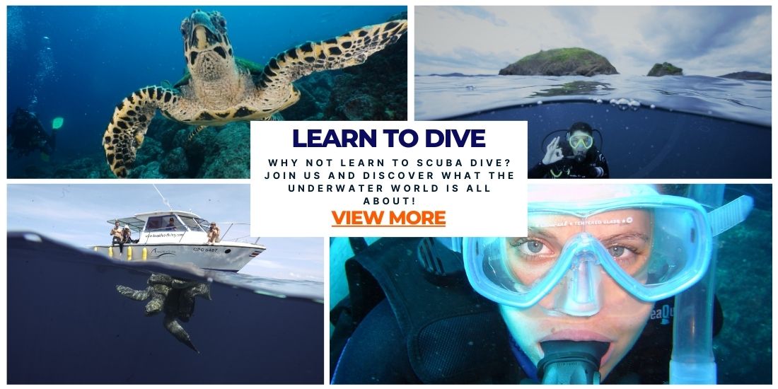 learn to dive deep blue diving