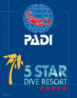 scuba-diving-in-costa-rica-deepblue-diving-padi-logo